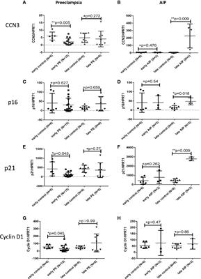 CCN3 Signaling Is Differently Regulated in Placental Diseases Preeclampsia and Abnormally Invasive Placenta